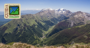Le guide associate